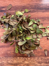Uva Ursi (Wildcrafted) Organic
