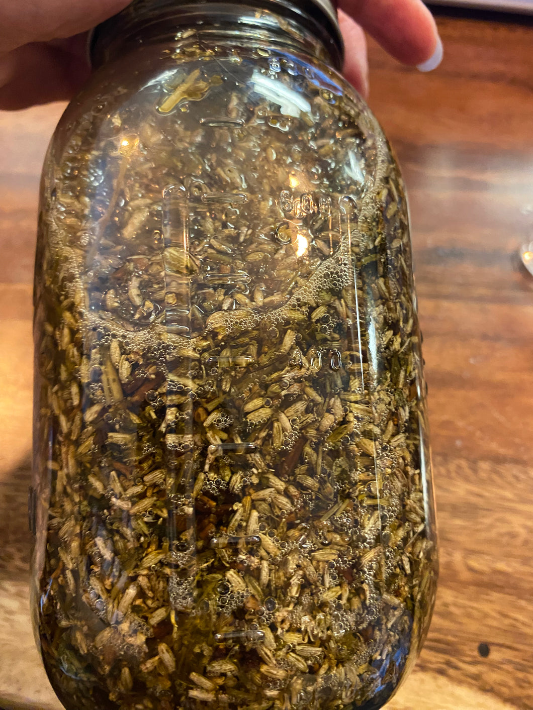 Sweet Slumber Herbal Glycerite